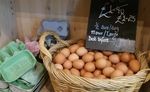 COMMUNITY SHOPS 2021 A BETTER FORM OF BUSINESS - Plunkett Foundation