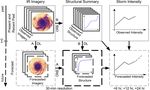 Structural Forecasting for Tropical Cyclone Intensity Prediction: Providing Insight with Deep Learning