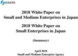 2018 White Paper on Small and Medium Enterprises in Japan 2018 White Paper on Small Enterprises in Japan - (Summary)