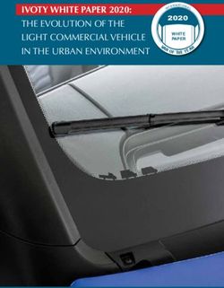IVOTY WHITE PAPER 2020: THE EVOLUTION OF THE LIGHT COMMERCIAL VEHICLE IN THE URBAN ENVIRONMENT 2020 - INTERNATIONAL VAN OF THE ...