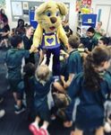 Welcome to Week 7 at Rocklea State School