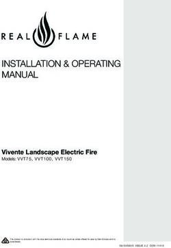 INSTALLATION & OPERATING MANUAL - Vivente Landscape Electric Fire - Real Flame