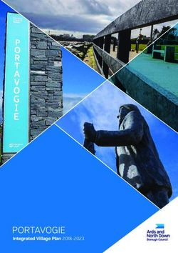 PORTAVOGIE Integrated Village Plan 2018-2023 - Ards and North Down Borough Council