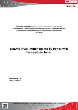 No&Vib HUB: matching the EU trends with the needs in Serbia - senvibe