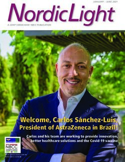 A JOINT SWEDCHAM / NBCC PUBLICATION Nordic Light - Norwegian Brazilian ...