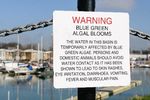HARMFUL ALGAL BLOOMS FREQUENTLY ASKED QUESTIONS - PA.gov