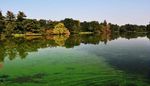 HARMFUL ALGAL BLOOMS FREQUENTLY ASKED QUESTIONS - PA.gov