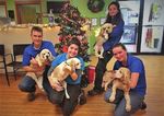 Paw Prints - Ulster County SPCA