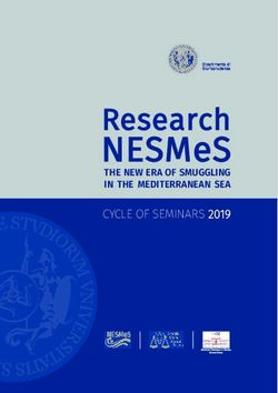 NESMES RESEARCH THE NEW ERA OF SMUGGLING - UNIPA