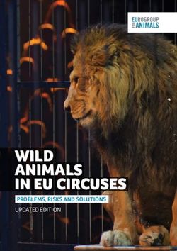 WILD ANIMALS IN EU CIRCUSES - PROBLEMS, RISKS AND SOLUTIONS UPDATED EDITION - Eurogroup for Animals