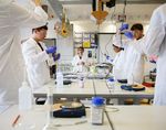 Heidelberg International School - International Baccalaureate Diploma Programme DP Curriculum 2021 2023 - Heidelberg ...