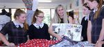 2021 Curriculum Overview Year 10 Senior School - Fairholme College - 2021 (r3)