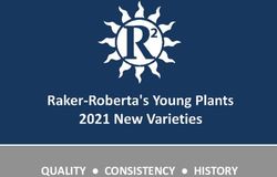 QUALITY CONSISTENCY HISTORY