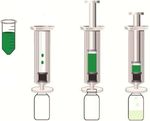 Determination of Six Eugenol Residues in Aquatic Products by Gas Chromatography-Orbitrap Mass Spectrometry
