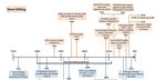 Gene Editing and Gene Therapy: Entering Uncharted Territory in Veterinary Oncology