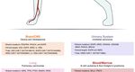 Gene Editing and Gene Therapy: Entering Uncharted Territory in Veterinary Oncology