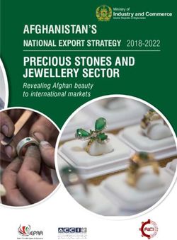 AFGHANISTAN'S NATIONAL EXPORT STRATEGY 2018-2022 - International Trade ...