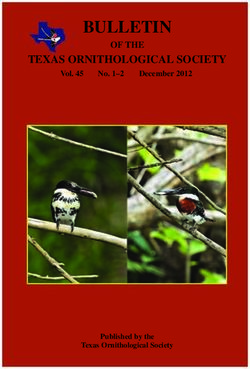 BULLETIN TEXAS ORNITHOLOGICAL SOCIETY - OF THE - Houston Museum of Natural Science