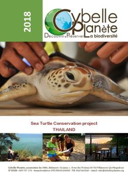 THAILAND Sea Turtle Conservation project - Cybelle Planète