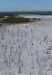Unearthing Australia's toxic coal ash legacy - How the regulation of toxic coal ash waste is failing Australian communities - Environmental ...