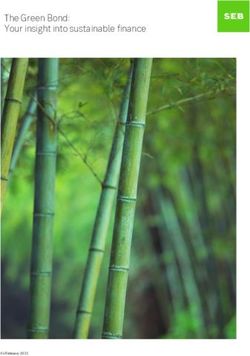The Green Bond: Your insight into sustainable finance - SEB