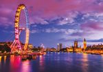 COMPANY PORTFOLIO - WTM London