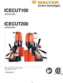 ICECUT100 ICECUT200 - Walter Surface Technologies