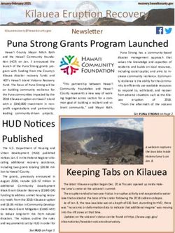 Puna Strong Grants Program Launched - Hawaii County