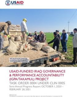 USAID-FUNDED IRAQ GOVERNANCE & PERFORMANCE ACCOUNTABILITY (IGPA/TAKAMUL) PROJECT TASK ORDER 0004 UNDER CLIN 0005