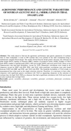 AGRONOMIC PERFORMANCE AND GENETIC PARAMETERS OF SOYBEAN (GLYCINE MAX (L.) MERR.) LINES IN TIDAL SWAMP LAND