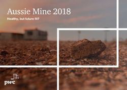 AUSSIE MINE 2018 HEALTHY, BUT FUTURE FIT? - PWC AUSTRALIA