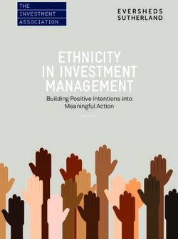 ETHNICITY IN INVESTMENT MANAGEMENT - Building Positive Intentions into Meaningful Action - The ...