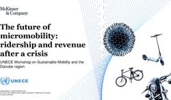 The future of micromobility: ridership and revenue after a crisis - UNECE