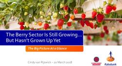 The Berry Sector Is Still Growing... But Hasn't Grown Up Yet - The Big Picture At a Glance - Global Berry Congress