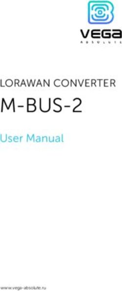 M-BUS-2 LORAWAN CONVERTER - User Manual - IOT VEGA
