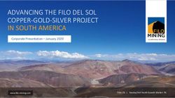 ADVANCING THE FILO DEL SOL COPPER-GOLD-SILVER PROJECT IN SOUTH AMERICA - Corporate Presentation - January 2020