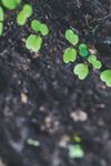 2020 ANNUAL MEMBERSHIP GUIDE & DIRECTORY - greaterbeloitchamber.org - Greater Beloit ...