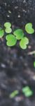 2020 ANNUAL MEMBERSHIP GUIDE & DIRECTORY - greaterbeloitchamber.org - Greater Beloit ...