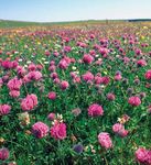 2020 Challenge for Scotland's Biodiversity - Secretariat of the ...