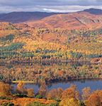 2020 Challenge for Scotland's Biodiversity - Secretariat of the ...