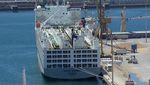 SEA TRANSPORT Cartagena Port (Spain) - 06-09.06.2018 EXTERNAL REPORT - Igualdad Animal