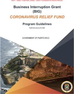 CORONAVIRUS RELIEF FUND - (BIG) Business Interruption Grant Program Guidelines - PR.GOV