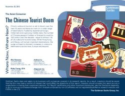 The Chinese Tourist Boom - November 20, 2015 - Goldman Sachs
