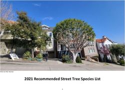 2021 Recommended Street Tree Species List - SF Environment