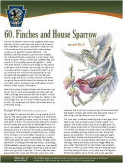 Finches and House Sparrow - PA Game ...