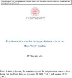 Report on heat production during preliminary tests on the Rossi "Ni-H" reactor.