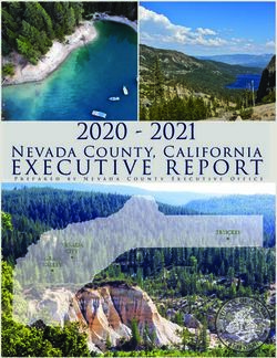 2020 2021 EXECUTIVE REPORT - Nevada County, California