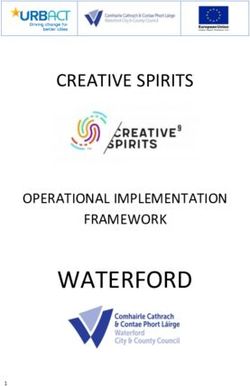 WATERFORD - CREATIVE SPIRITS OPERATIONAL IMPLEMENTATION FRAMEWORK - Urbact