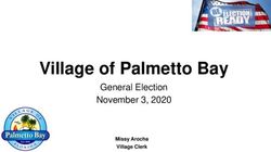 Village of Palmetto Bay - General Election November 3, 2020 Missy Arocha Village Clerk