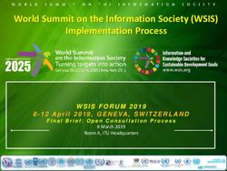 World Summit on the Information Society (WSIS) Implementation Process